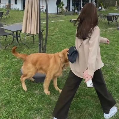 终极炫风